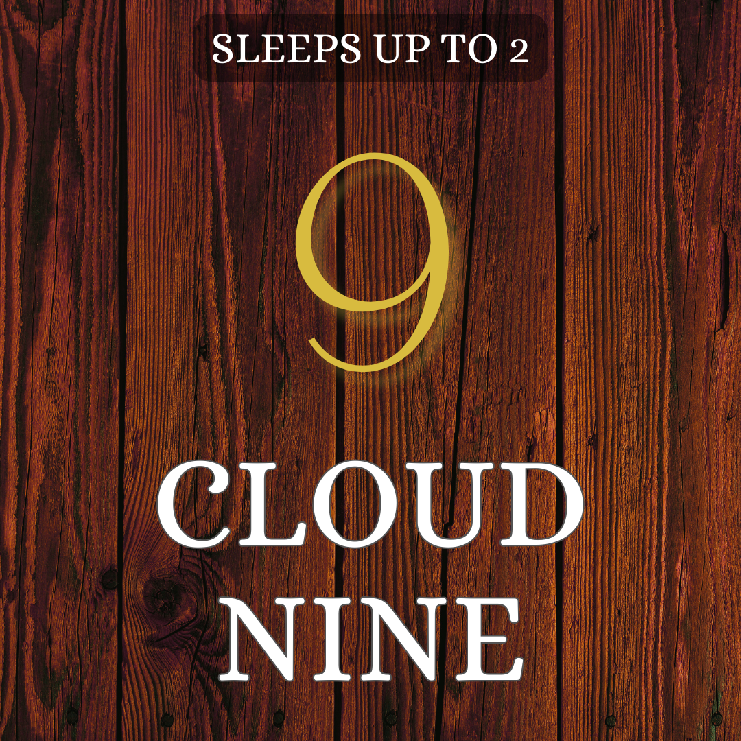 Unit 9 Cloud Nine