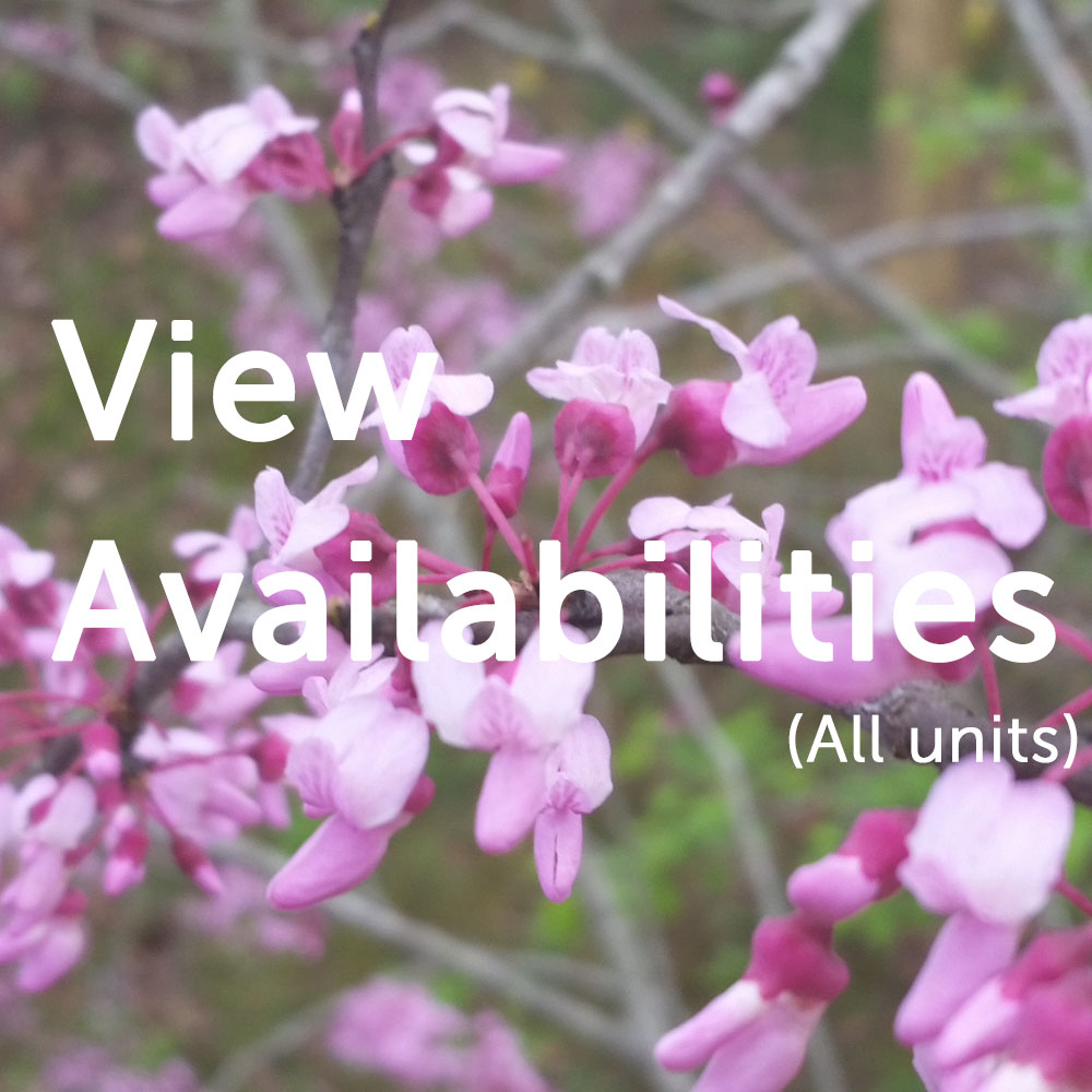 View Availabilities
