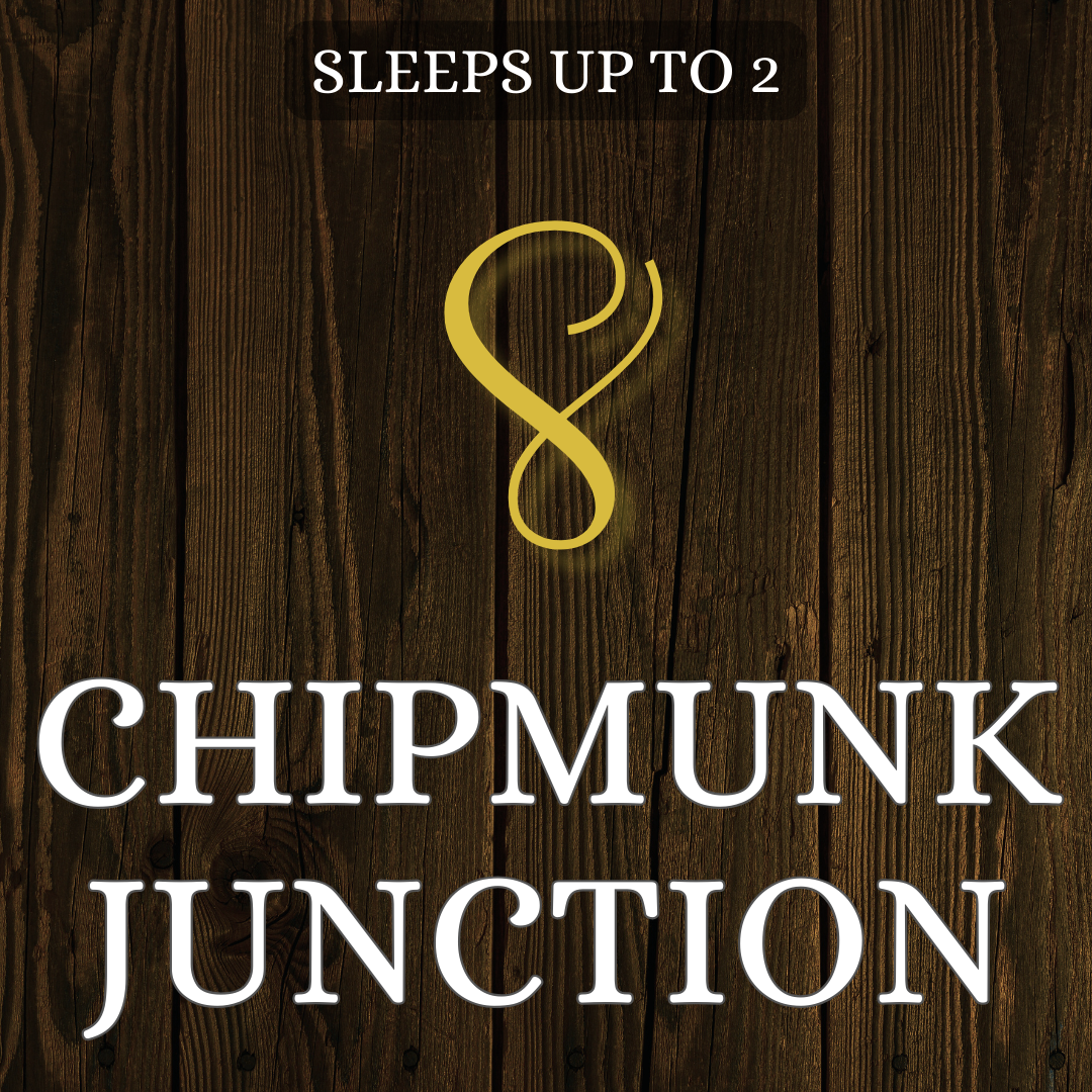 Unit 8 The Chipmunk Junction